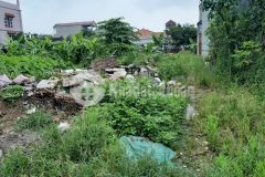 Bán gấp 900m2 mt18m đất full thổ cư bắc hồng đông anh hà nội, đường ô tô tránh, giá đầu tư.