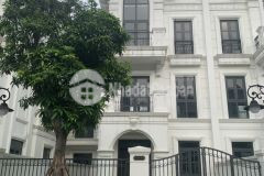 Rẻ bất ngờ song lập 124.5 m2 phân khu san hô vinhomes ocean park, 1 bước đến hồ, bán chỉ 160 trm2