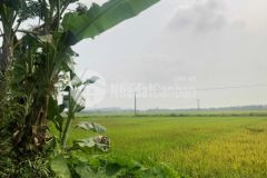 Điện tiến, điện bàn gần chợ lệ trạch hòa tiến chỉ 6xx triệu, sổ có sẵn