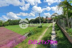 Lô đất 1660m2 thổ cư tại hiệp hoà, ngay đt822, chợ tân mỹ, vinhomes, kcn anh hồng 2