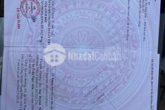 Bán 2 nền văn hoá tây đô cái răng tp cần thơ. liên hệ 0837777411 gặp tín