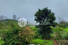 Đất mộc châu 2 mt, view thung lũng xanh bát ngát