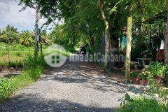 Bán 2 nền đất đường đoàn thị nghiệp đá, ấp giáp nước, phước thạnh, tp mỹ tho.