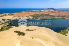 Bán hơn 5 sào đất trồng cây lâu năm hồng thái giá cực đầu tư shr