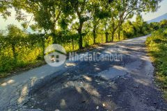 Bán đất diên lâm mặt tiền đường nhựa a2