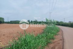 Bán đất sào ven sân bay long thành chỉ 1trm2 tặng 1 chỉ scj