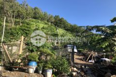 Cần bán gấp lô đất 2 mặt tiền hẻm ô tô 444 và 268 trần phú 19trm2