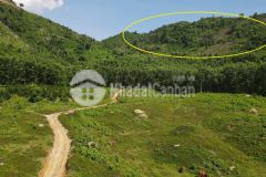 Bán 95.000m2 xã khánh phú, khánh vĩnh giá rẻ lh 0788.558.552