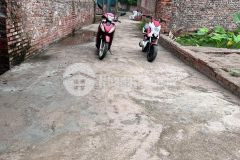 Đất gia lâm 43m2, ngõ 4m rộng như hình, giá chỉ 1.35 tỷ. lh 0964.811.355