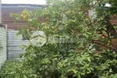 Bán gấp đất hxh linh xuân, thủ đức,58m2 giá siêu rẻ chỉnh hơn 800 triệu, 0339799308