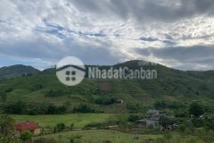 Chính chủ cần tiền nên bán gấp lô đất vườn 1ha view siêu đẹp giá siêu rẻ chỉ 1.x tỷ ở cao phong hoà