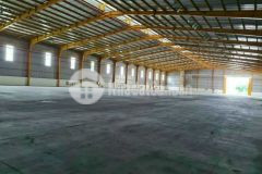 Cho thuê kho xưởng mới kcn tân đức, đức hoà, long an. dt từ 2900 6100m2. giá 2,8m2