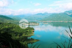 1 ha, đất có thổ cư bám hồ cánh tạng lạc sơn, hòa bình. gồm 5 sổ đều bám đường, bám hồ. 0976056466