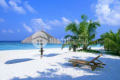 Tổng hợp nhà cho thuê đường nguyễn hữu thọ