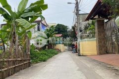 Thời điểm đẹp để nhập hàng giá mềm ạ, chỉ nhỉnh tỷ xíu xiu