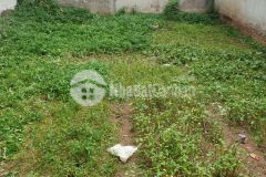 Bán đất thổ cư giá rẻ ở thúy lĩnh, hoàng mai, 50m2 x 5.5m mt, giá 1.9 tỷ