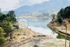 Bán nhanh lô đất khoảng 2000m2 tại séo mý tỷ giá đẹp phù hợp đầu tư