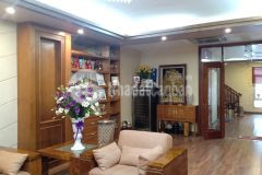 Phân lô cù chính lan ô tô kinh doanh 50m mt 5.4m 5 tầng 6.5 tỷ