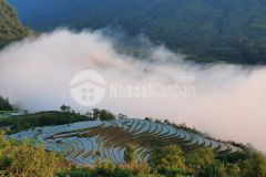 Đất cô tô nằm ngay trung tâm xã