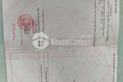 Bán nền đường 1b khu dân cư nam long, tp cần thơ. dt 206m2. gía 15 tỷ. liên hệ 0837777411 gặp tín