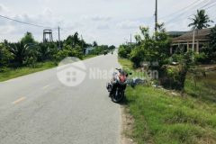 Cần bán đất lúa khu vực thủ thừa giá 3 tỷ 8 1000m2