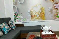 Trung tâm của trung tâm cầu giấy oto, kinh doanh, ngõ thông 35m2 mt4m 5,3tỷ thương lượng.