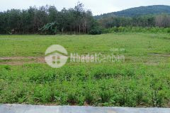 Chính chủ cần bán đất tân xuân 2 cam lộ quảng trị