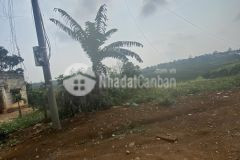 Bán nhanh miếng đất có thổ cư tại lâm đồng giá f0 chưa qua đầu tư