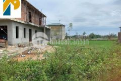 Bán đát gia độ triệu độ triêu phong quảng trị