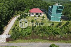 Bán biệt thự 5.000m2 nhà yến đã cho thu hoạch xã sông cầu, khánh vĩnh