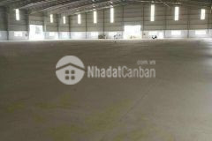 Cho thuê kho xưởng tại ccn kiến thành, long cang, cần đước, la. dt từ 3000 15000 m2