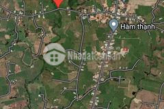 Ra nhanh đất 2 mặt tiền thôn dân cường hàm thạnh hàm thuận nam dt 2ha cln.