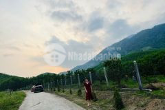 Chuyển nhượng lô đất tặng kèm vườn mít ở khánh nam khánh vĩnh