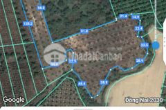 Bán 11.584m2 đất trồng xã phú ngọc huyện định quán tỉnh đồng nai