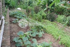 Bán gấp 68m2 mt4m đất phân lô nam hồng đông anh hà nội đường ô tô tránh giá 2 tỷ.