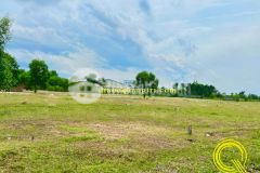 Bán lô đất tiềm năng sinh lời cao tại quảng trị tháng 62022