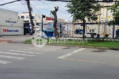 Kẹt tiền mùa covid bán xưởng mt đường cảng cát lái, thạnh mỹ lợi, quận 2 dt 10000m2220ty