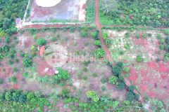 Chính chủ cần bán hơn 2ha đất đỏ rẫy trồng full sầu riêng và bơ đang ăn trái tại đaklak