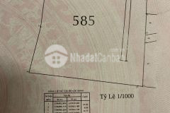 Đất mặt tiền kinh doanh đường hồ bá phấn với đường 76, phước long a, dt 4860m2120tỷ thương lượng