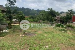 Bán mảnh đất mộc châu ngay cạnh rừng thông bản áng