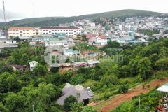 Mua đất tặng căn nhà 3 phòng ngủ độc đáo nép mình dưới những tán cây