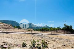 Khu nhà ở phước đồng giá đầu tư