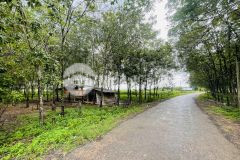 Đât chinh chu măt tiên đương nhưa, full thô cư. gia chi 440tr