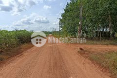 Hi everybody. welcome to dầu tiếng, tại xã minh hòa, tấn có một lô mới rất đẹp.