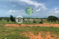 4 lô hồng thái thoải mái lựa chọn shr giá siêu đầu tư