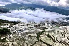 Đất nền y tý sapa 2 mt siêu rộng 30m, dt lộc phát