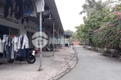 Cầm bán nhanh căn trọ 228m2 ở đức hòa giá 1 tỷ 250