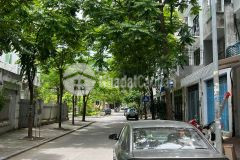 Bán nhà phân lô vip, otô tránh, kinh doanh phố thanh nhàn,65m2x5tầng, 13.1tỷ