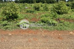 Bán đất giá đầu tư xã hòa khánh buôn kbu đường qh rộng 16m 660 triệu