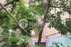 Biệt thự vườn treo babylon mặt tiền 9m, thân nhân trung tân bình, 8pn, 9x27m, giá 39,9 tỷ.